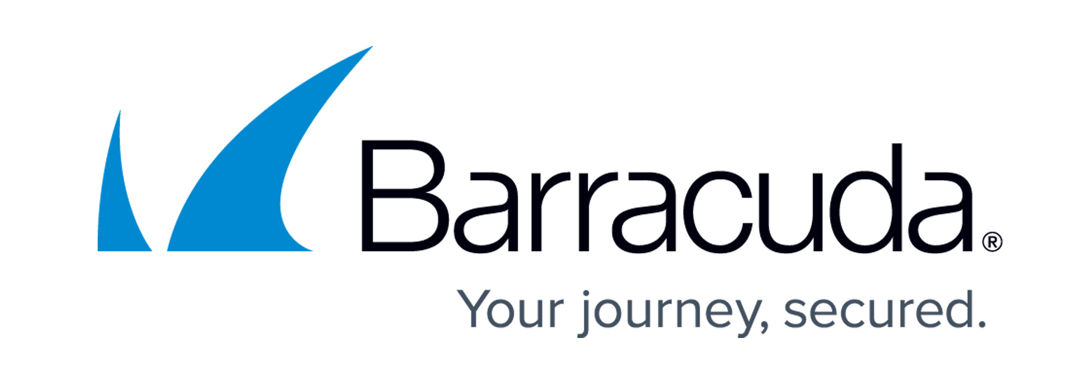 Partner Logo - Barracuda